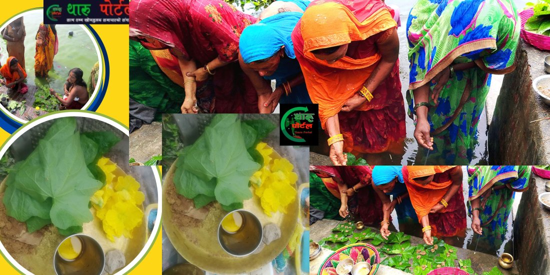 थारू समुदायको मौलिक सांस्कृतिक पर्व जितिया श्रद्धा र भक्तिपूर्वक मनाइँदै ।थारू पाेर्टल